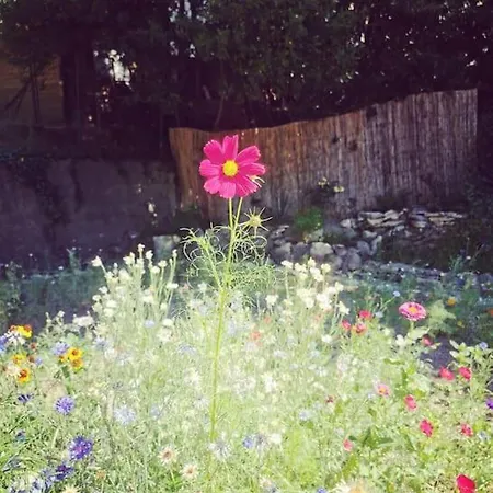 Belle Dependance De 30m2 Avec Terrasse Et Jardin