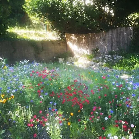 Belle Dependance De 30m2 Avec Terrasse Et Jardin Villeneuve-les-Avignon